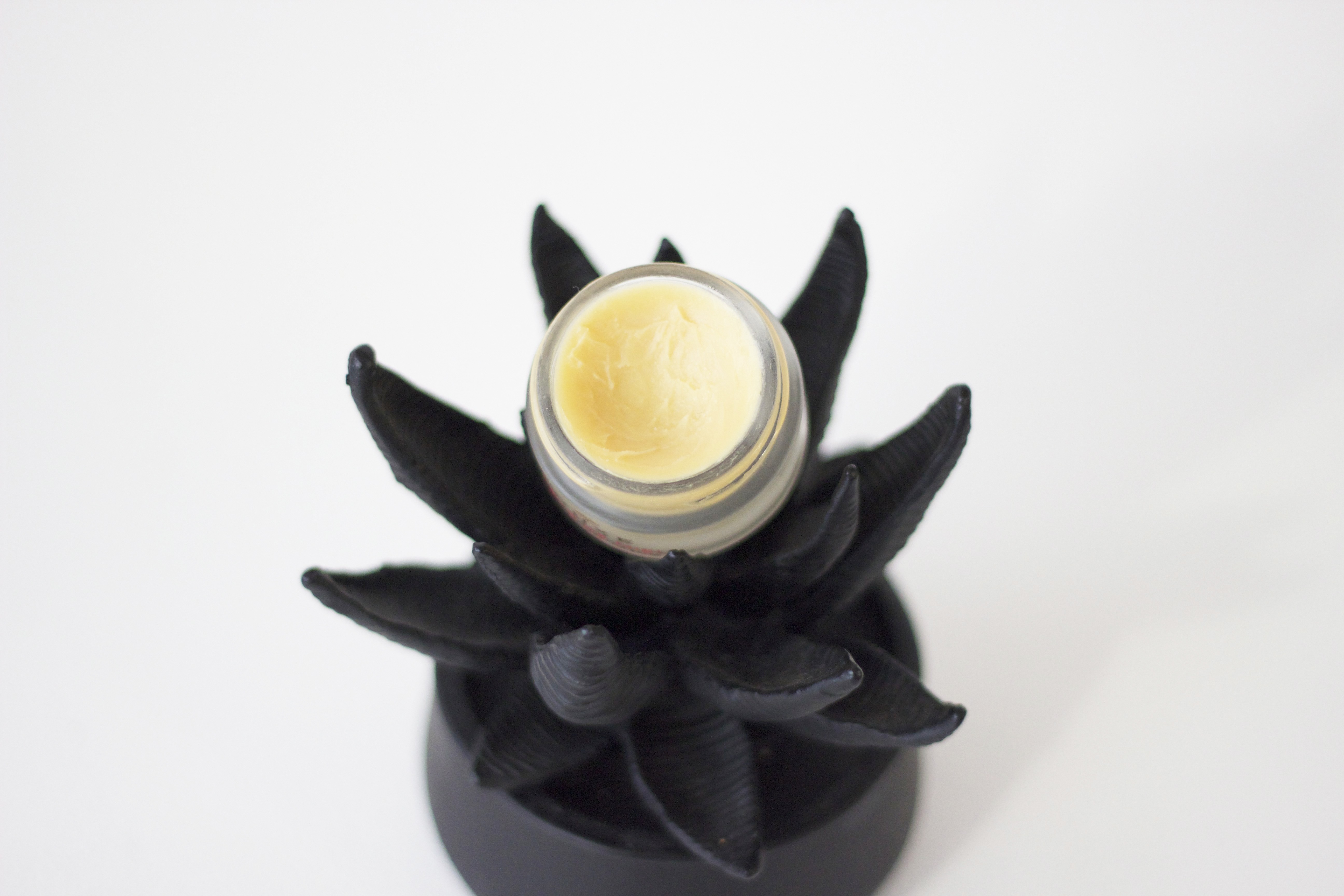 Nuxe Reve De Miel lip balm review south african beauty blogger