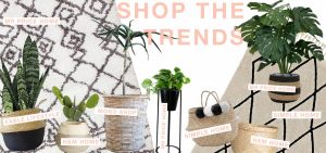 Shop homeware trends - south africa - belly basket, beni ourain rug dupe,planters