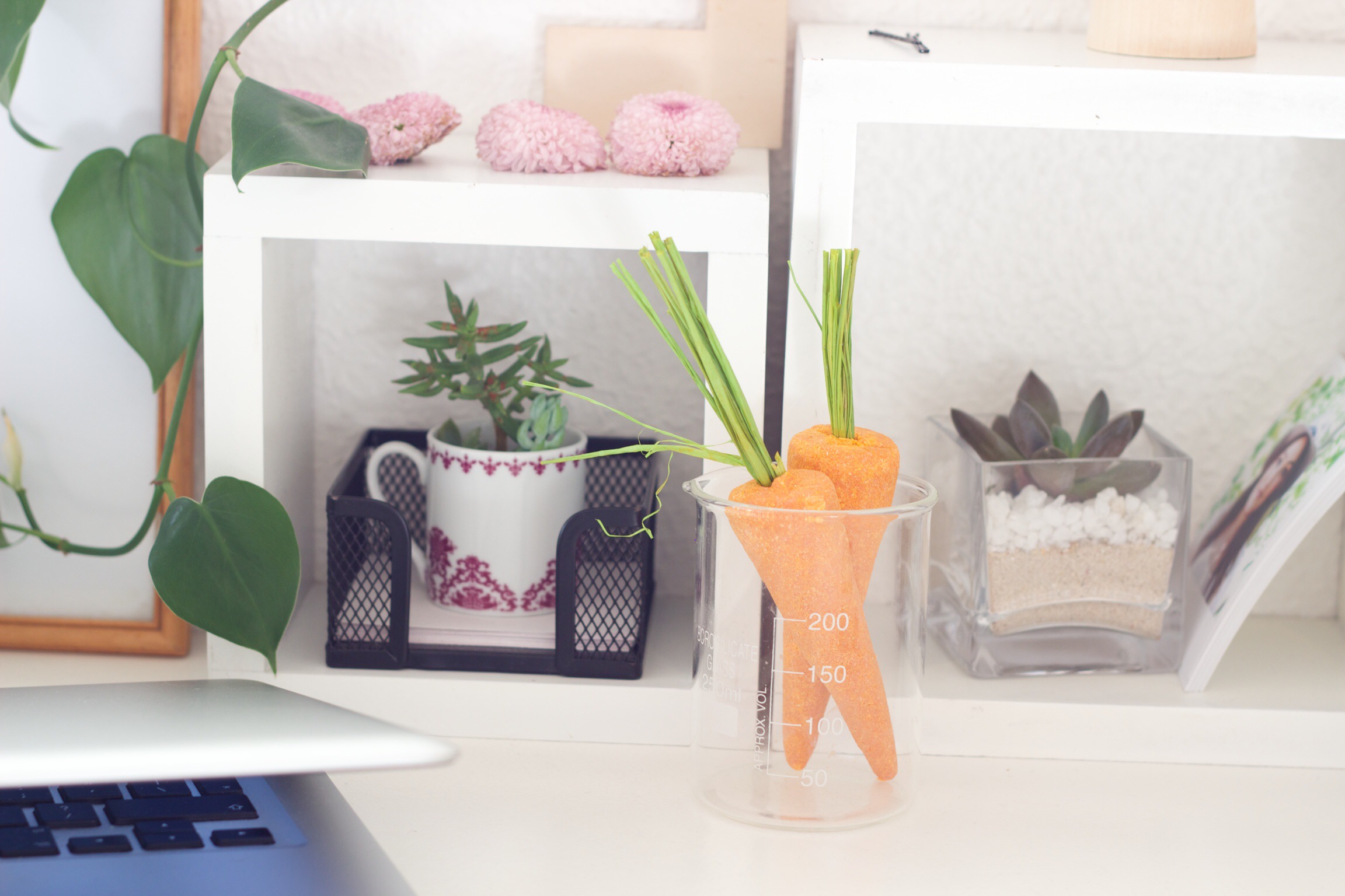 LUSH EASTER: Bunch of Carrots